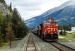  Passing a westbound manifest freight near Jasper.  Taken from the rear observation car on the westbound Canadian